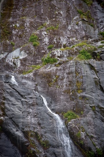 Filename=DSC_4733.jpg
Filesize=20077KiB
Dimensions=4912x7360
Date added=Sep 15, 2019 DSC_4733.jpg