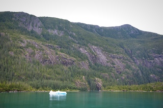 Filename=DSC_4751.jpg
Filesize=14830KiB
Dimensions=7360x4912
Date added=Sep 15, 2019 DSC_4751.jpg