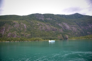 Filename=DSC_4752.jpg
Filesize=10058KiB
Dimensions=7360x4912
Date added=Sep 15, 2019 DSC_4752.jpg