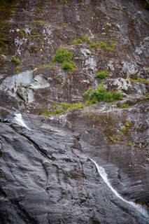 Filename=DSC_4770.jpg
Filesize=18703KiB
Dimensions=4912x7360
Date added=Sep 15, 2019 DSC_4770.jpg