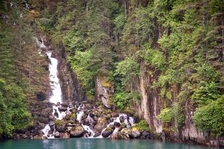 Filename=DSC_4830.jpg
Filesize=24762KiB
Dimensions=7360x4912
Date added=Sep 15, 2019 DSC_4830.jpg