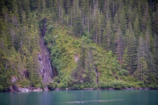 Filename=DSC_4870.jpg
Filesize=22984KiB
Dimensions=7360x4912
Date added=Sep 15, 2019 DSC_4870.jpg