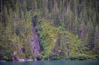 Filename=DSC_4871.jpg
Filesize=22586KiB
Dimensions=7360x4912
Date added=Sep 15, 2019 DSC_4871.jpg