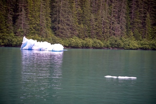 Filename=DSC_4890.jpg
Filesize=15248KiB
Dimensions=7360x4912
Date added=Sep 15, 2019 DSC_4890.jpg