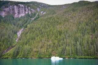 Filename=DSC_4894.jpg
Filesize=14802KiB
Dimensions=7360x4912
Date added=Sep 15, 2019 DSC_4894.jpg