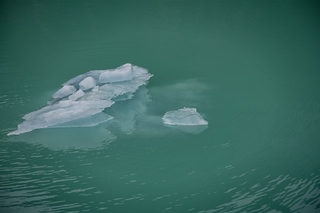 Filename=DSC_4952.jpg
Filesize=4825KiB
Dimensions=7360x4912
Date added=Sep 15, 2019 DSC_4952.jpg