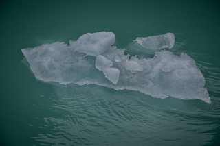 Filename=DSC_4955.jpg
Filesize=5888KiB
Dimensions=7360x4912
Date added=Sep 15, 2019 DSC_4955.jpg