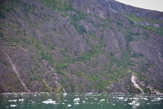 Filename=DSC_4959.jpg
Filesize=15852KiB
Dimensions=7360x4912
Date added=Sep 15, 2019 DSC_4959.jpg