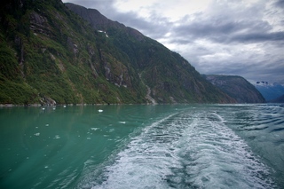 Filename=DSC_4962.jpg
Filesize=12096KiB
Dimensions=7360x4912
Date added=Sep 15, 2019 DSC_4962.jpg