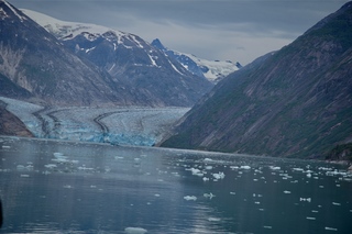 Filename=DSC_4976.jpg
Filesize=10472KiB
Dimensions=7360x4912
Date added=Sep 15, 2019 DSC_4976.jpg