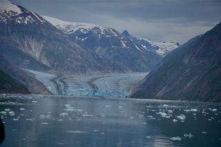 Filename=DSC_4980.jpg
Filesize=9850KiB
Dimensions=7360x4912
Date added=Sep 15, 2019 DSC_4980.jpg