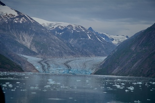 Filename=DSC_4981.jpg
Filesize=9817KiB
Dimensions=7360x4912
Date added=Sep 15, 2019 DSC_4981.jpg