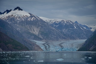 Filename=DSC_4995.jpg
Filesize=10268KiB
Dimensions=7360x4912
Date added=Sep 15, 2019 DSC_4995.jpg