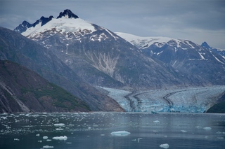 Filename=DSC_5004.jpg
Filesize=10946KiB
Dimensions=7360x4912
Date added=Sep 15, 2019 DSC_5004.jpg