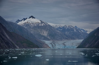 Filename=DSC_5008.jpg
Filesize=9204KiB
Dimensions=7360x4912
Date added=Sep 15, 2019 DSC_5008.jpg