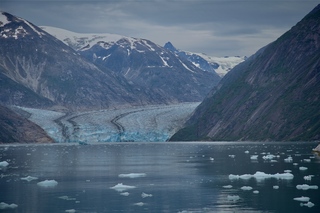 Filename=DSC_5020.jpg
Filesize=10153KiB
Dimensions=7360x4912
Date added=Sep 15, 2019 DSC_5020.jpg