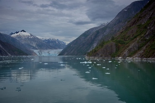 Filename=DSC_5025.jpg
Filesize=9307KiB
Dimensions=7360x4912
Date added=Sep 15, 2019 DSC_5025.jpg