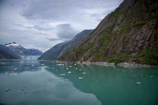 Filename=DSC_5028.jpg
Filesize=10425KiB
Dimensions=7360x4912
Date added=Sep 15, 2019 DSC_5028.jpg