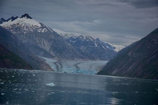 Filename=DSC_5043.jpg
Filesize=9356KiB
Dimensions=7360x4912
Date added=Sep 15, 2019 DSC_5043.jpg