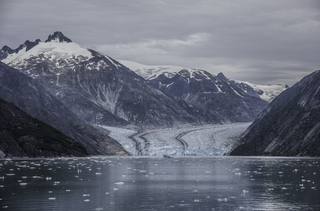 Filename=DSC_5067.jpg
Filesize=19637KiB
Dimensions=7251x4793
Date added=Sep 15, 2019 DSC_5067.jpg