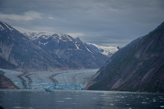 Filename=DSC_5083.jpg
Filesize=9420KiB
Dimensions=7360x4912
Date added=Sep 15, 2019 DSC_5083.jpg