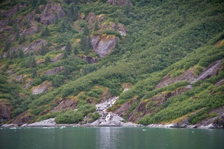 Filename=DSC_5091.jpg
Filesize=20094KiB
Dimensions=7360x4912
Date added=Sep 15, 2019 DSC_5091.jpg