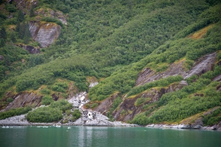 Filename=DSC_5100.jpg
Filesize=20638KiB
Dimensions=7360x4912
Date added=Sep 15, 2019 DSC_5100.jpg