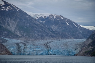 Filename=DSC_5196.jpg
Filesize=11595KiB
Dimensions=7360x4912
Date added=Sep 16, 2019 DSC_5196.jpg