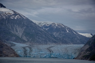 Filename=DSC_5199.jpg
Filesize=8843KiB
Dimensions=7360x4912
Date added=Sep 16, 2019 DSC_5199.jpg