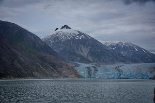 Filename=DSC_5221.jpg
Filesize=13714KiB
Dimensions=7360x4912
Date added=Sep 16, 2019 DSC_5221.jpg