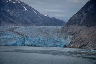 Filename=DSC_5274.jpg
Filesize=11713KiB
Dimensions=7360x4912
Date added=Sep 16, 2019 DSC_5274.jpg