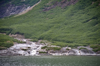 Filename=DSC_5284.jpg
Filesize=18635KiB
Dimensions=7360x4912
Date added=Sep 16, 2019 DSC_5284.jpg