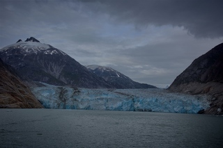 Filename=DSC_5340.jpg
Filesize=8720KiB
Dimensions=7360x4912
Date added=Sep 16, 2019 DSC_5340.jpg