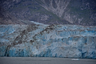 Filename=DSC_5377.jpg
Filesize=11561KiB
Dimensions=7360x4912
Date added=Sep 16, 2019 DSC_5377.jpg