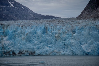 Filename=DSC_5399.jpg
Filesize=10485KiB
Dimensions=7360x4912
Date added=Sep 16, 2019 DSC_5399.jpg