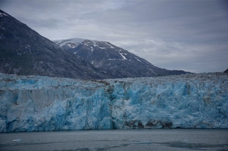 Filename=DSC_5413.jpg
Filesize=9457KiB
Dimensions=7360x4912
Date added=Sep 16, 2019 DSC_5413.jpg