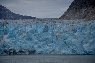 Filename=DSC_5439.jpg
Filesize=9900KiB
Dimensions=7360x4912
Date added=Sep 16, 2019 DSC_5439.jpg