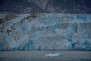 Filename=DSC_5442.jpg
Filesize=10778KiB
Dimensions=7360x4912
Date added=Sep 16, 2019 DSC_5442.jpg