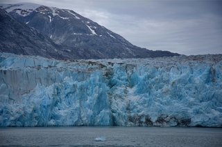 Filename=DSC_5447.jpg
Filesize=11028KiB
Dimensions=7360x4912
Date added=Sep 16, 2019 DSC_5447.jpg