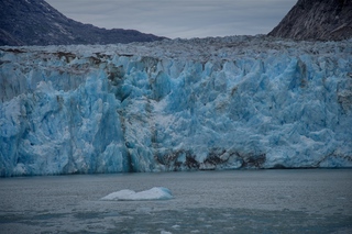 Filename=DSC_5484.jpg
Filesize=10513KiB
Dimensions=7360x4912
Date added=Sep 16, 2019 DSC_5484.jpg