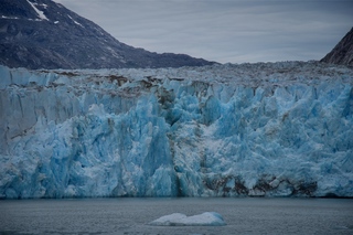 Filename=DSC_5485.jpg
Filesize=9279KiB
Dimensions=7360x4912
Date added=Sep 16, 2019 DSC_5485.jpg