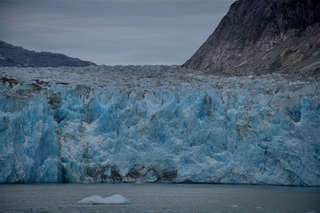 Filename=DSC_5528.jpg
Filesize=9333KiB
Dimensions=7360x4912
Date added=Sep 16, 2019 DSC_5528.jpg