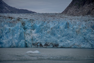 Filename=DSC_5532.jpg
Filesize=10751KiB
Dimensions=7360x4912
Date added=Sep 16, 2019 DSC_5532.jpg