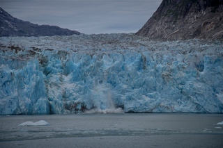 Filename=DSC_5573.jpg
Filesize=10255KiB
Dimensions=7360x4912
Date added=Sep 16, 2019 DSC_5573.jpg