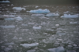 Filename=DSC_5589.jpg
Filesize=9119KiB
Dimensions=7360x4912
Date added=Sep 16, 2019 DSC_5589.jpg