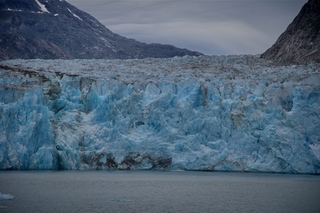 Filename=DSC_5617.jpg
Filesize=10034KiB
Dimensions=7360x4912
Date added=Sep 16, 2019 DSC_5617.jpg