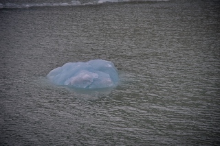 Filename=DSC_5629.jpg
Filesize=11457KiB
Dimensions=7360x4912
Date added=Sep 16, 2019 DSC_5629.jpg