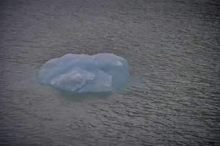 Filename=DSC_5630.jpg
Filesize=9503KiB
Dimensions=7360x4912
Date added=Sep 16, 2019 DSC_5630.jpg