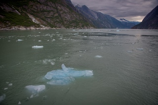 Filename=DSC_5696.jpg
Filesize=10225KiB
Dimensions=7360x4912
Date added=Sep 16, 2019 DSC_5696.jpg