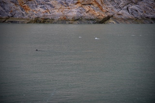 Filename=DSC_5715.jpg
Filesize=10359KiB
Dimensions=7360x4912
Date added=Sep 16, 2019 DSC_5715.jpg